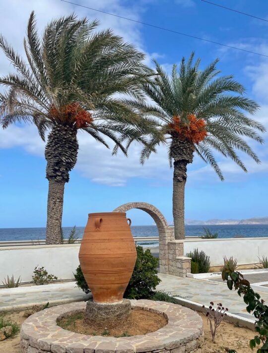 Delfini Greece Sitia 03