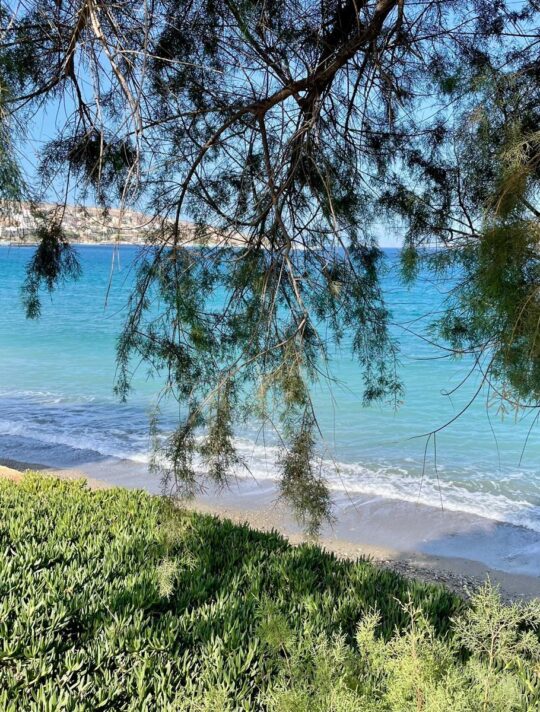 Delfini Greece Sitia 05
