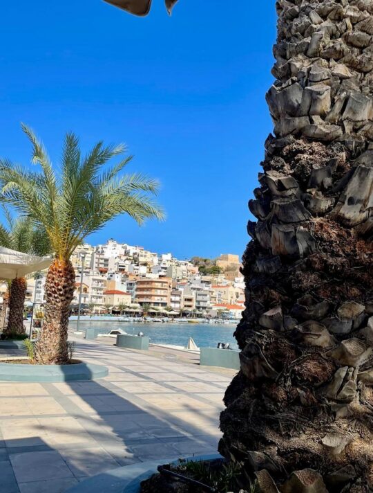 Delfini Greece Sitia 08