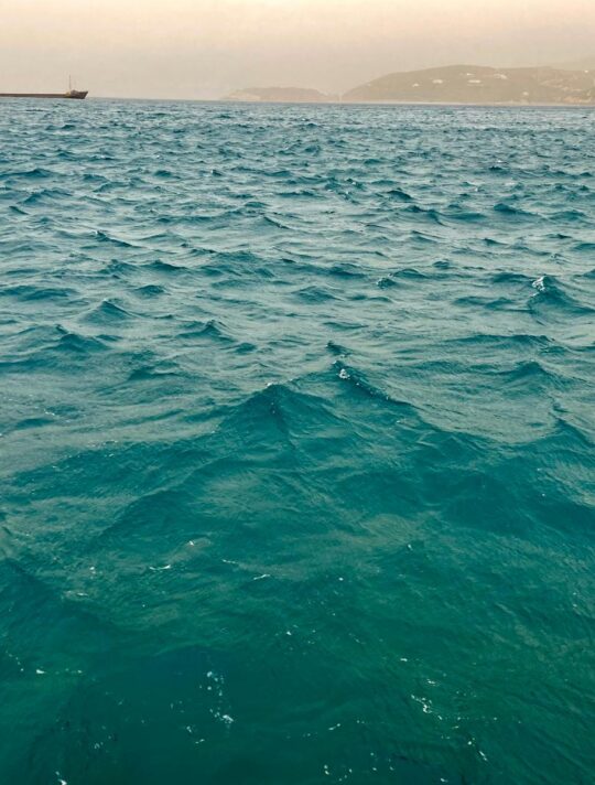 Delfini Greece Sitia 20