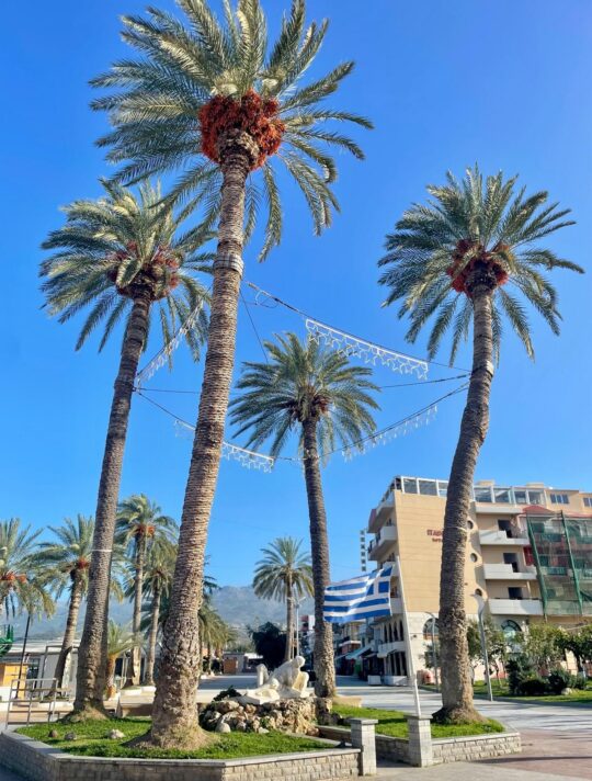Delfini Greece Sitia 22