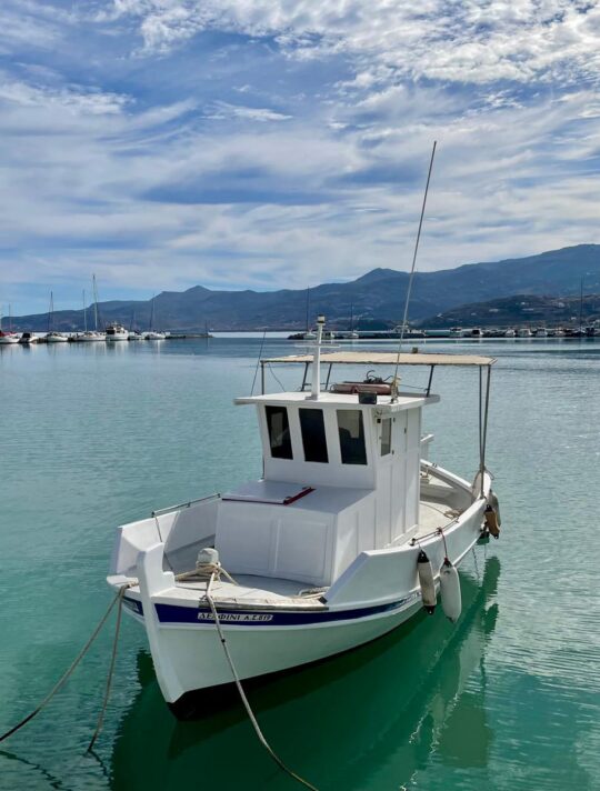 Delfini Greece Sitia 31