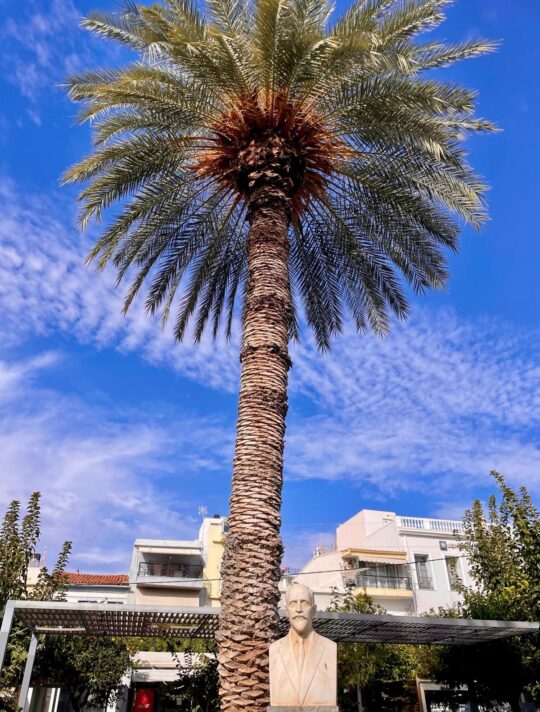 Delfini Greece Sitia 34