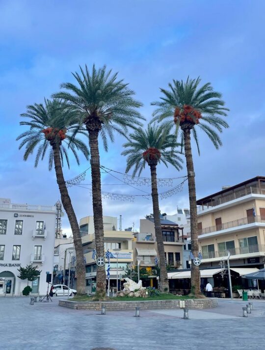 Delfini Greece Sitia 38