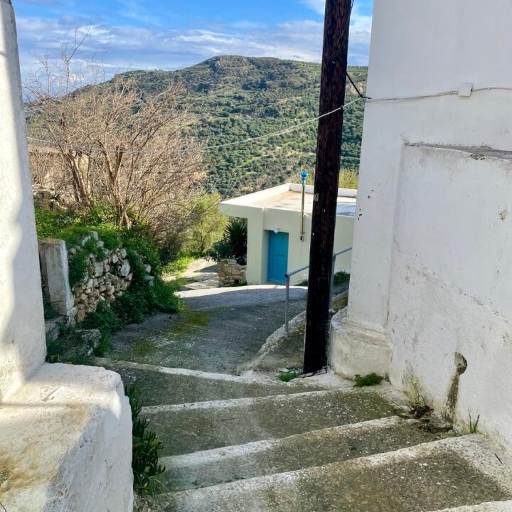 Delfini studio garden 07
