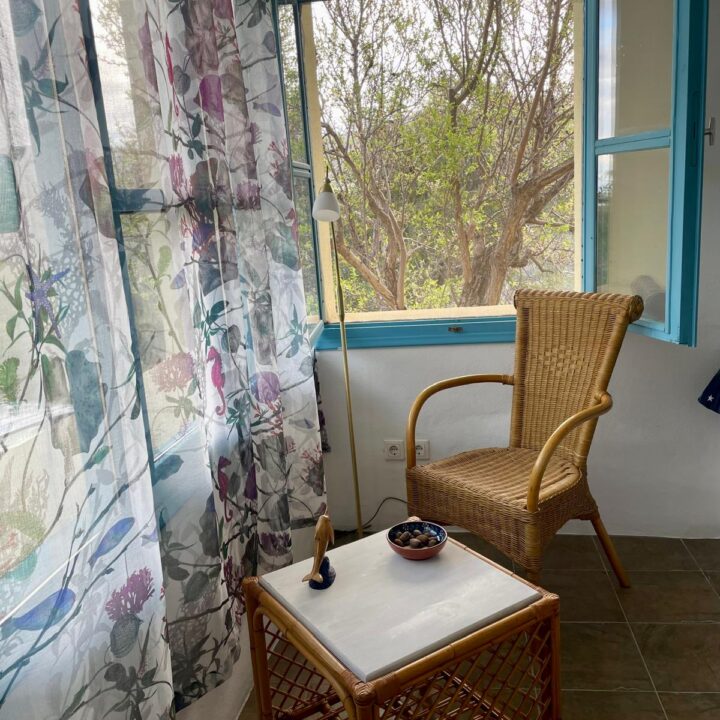 Delfini studio garden 10