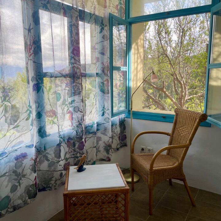 Delfini studio garden 19