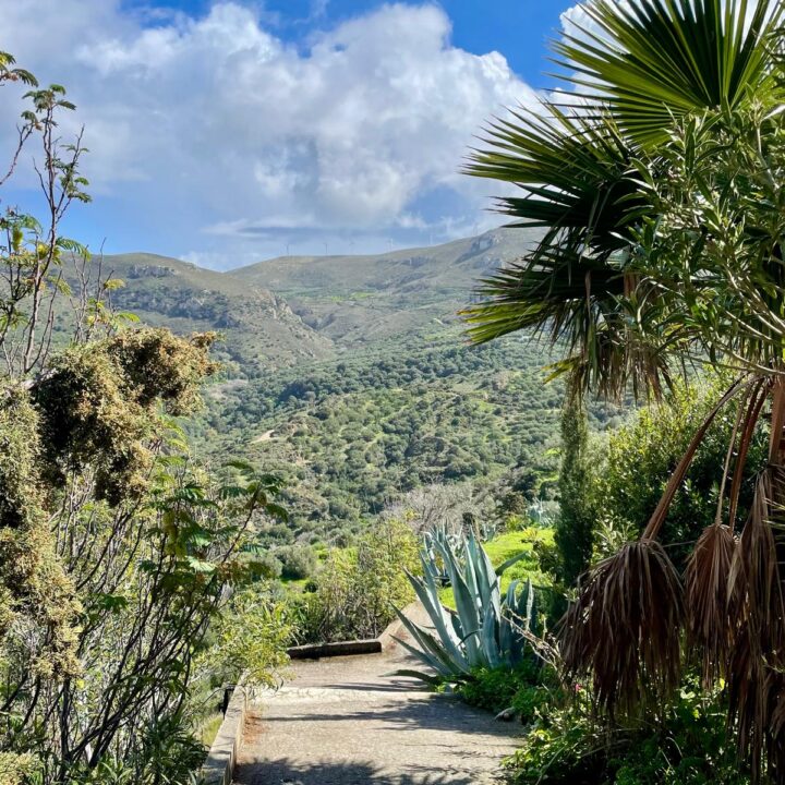 Delfini studio garden 27