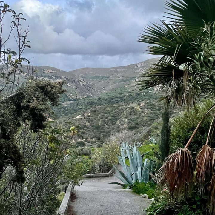 Delfini studio garden 31