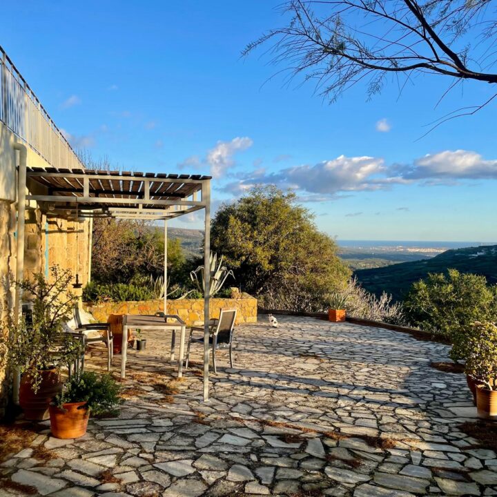 Delfini studio garden 36
