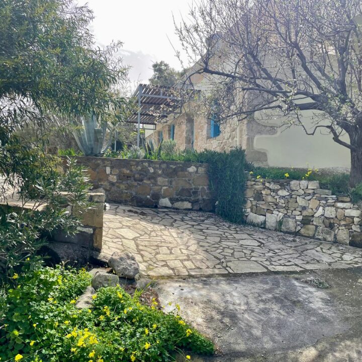 Delfini studio garden 42