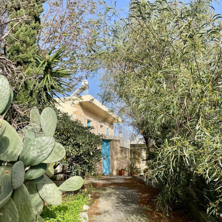 Delfini studio garden 43