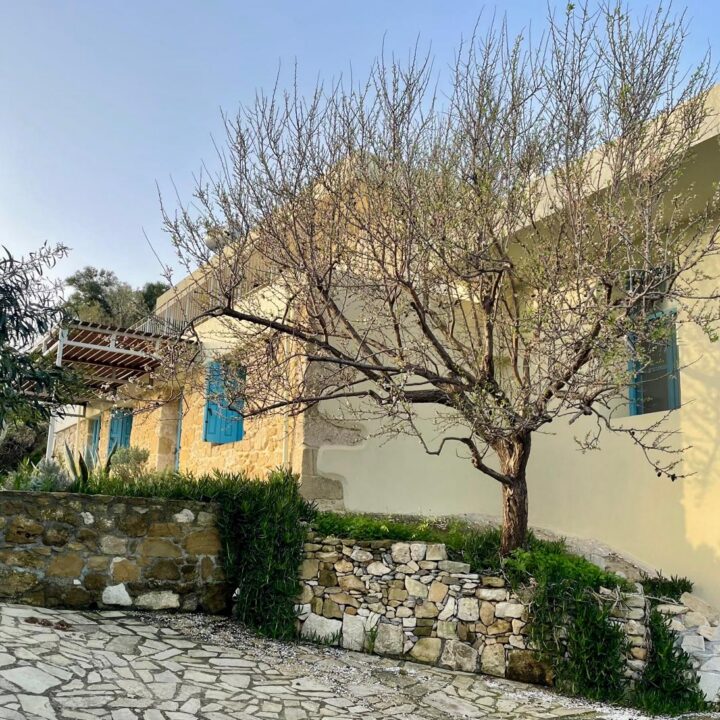 Delfini studio garden 51