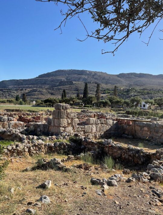 Kato Zakros 14